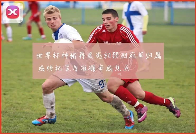 世界杯神猪再度亮相预测冠军归属 成绩纪录与准确率成焦点