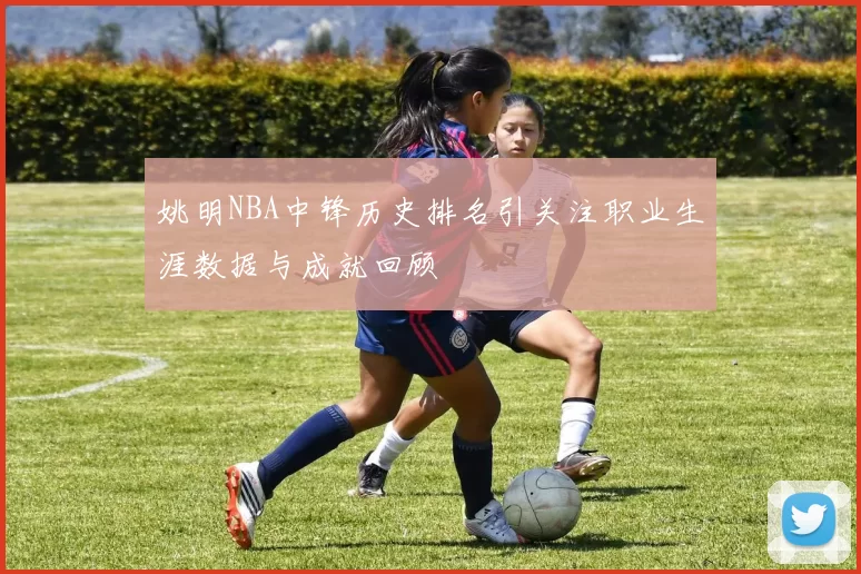 姚明NBA中锋历史排名引关注职业生涯数据与成就回顾